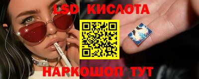 амф Кулебаки